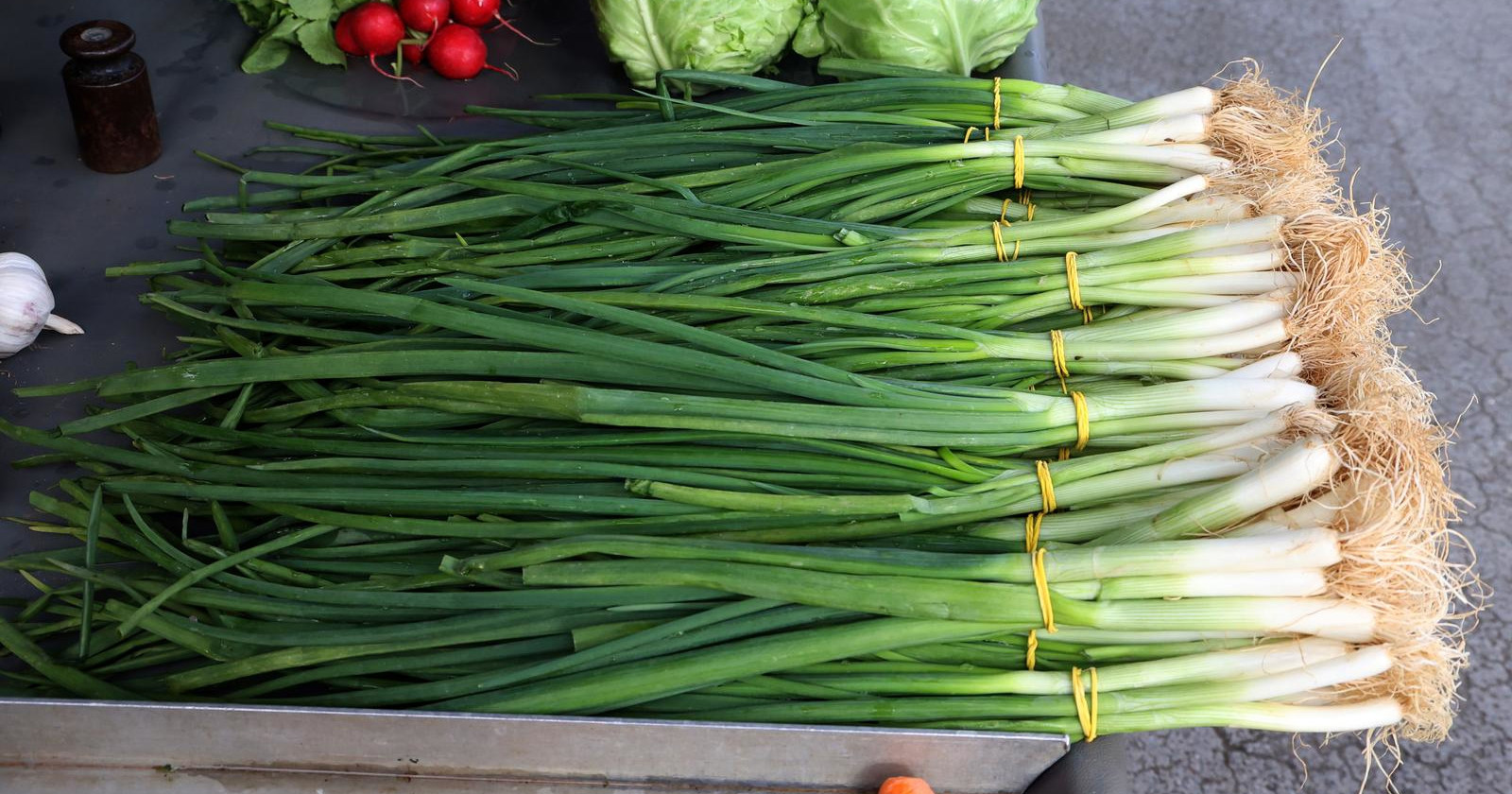 Vodič za mladi luk: Kako ga rezati, čuvati i koristiti