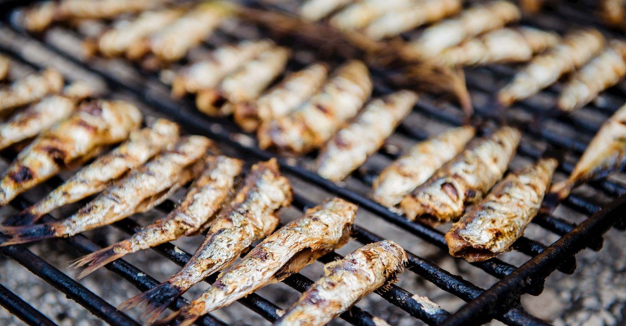Idući vikend održavaju se tri ribarske fešte na obali, evo detalja