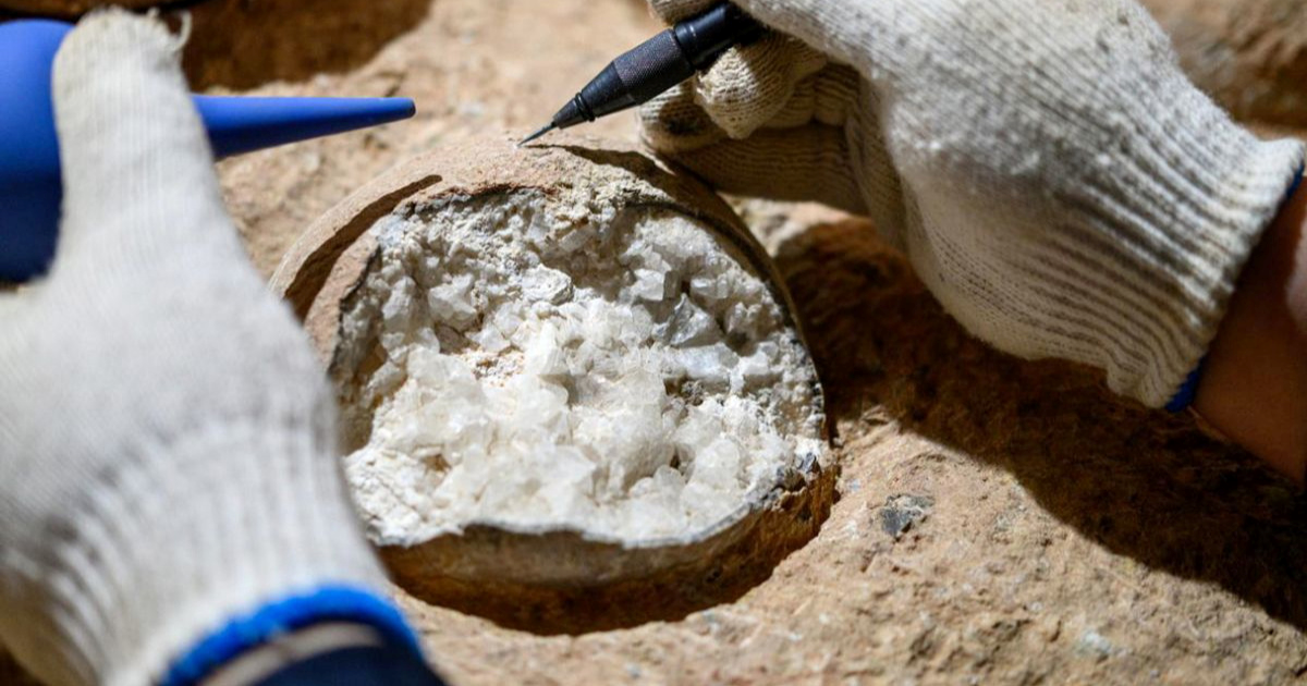 Znanstvenici prvi put odredili točnu starost jaja dinosaura