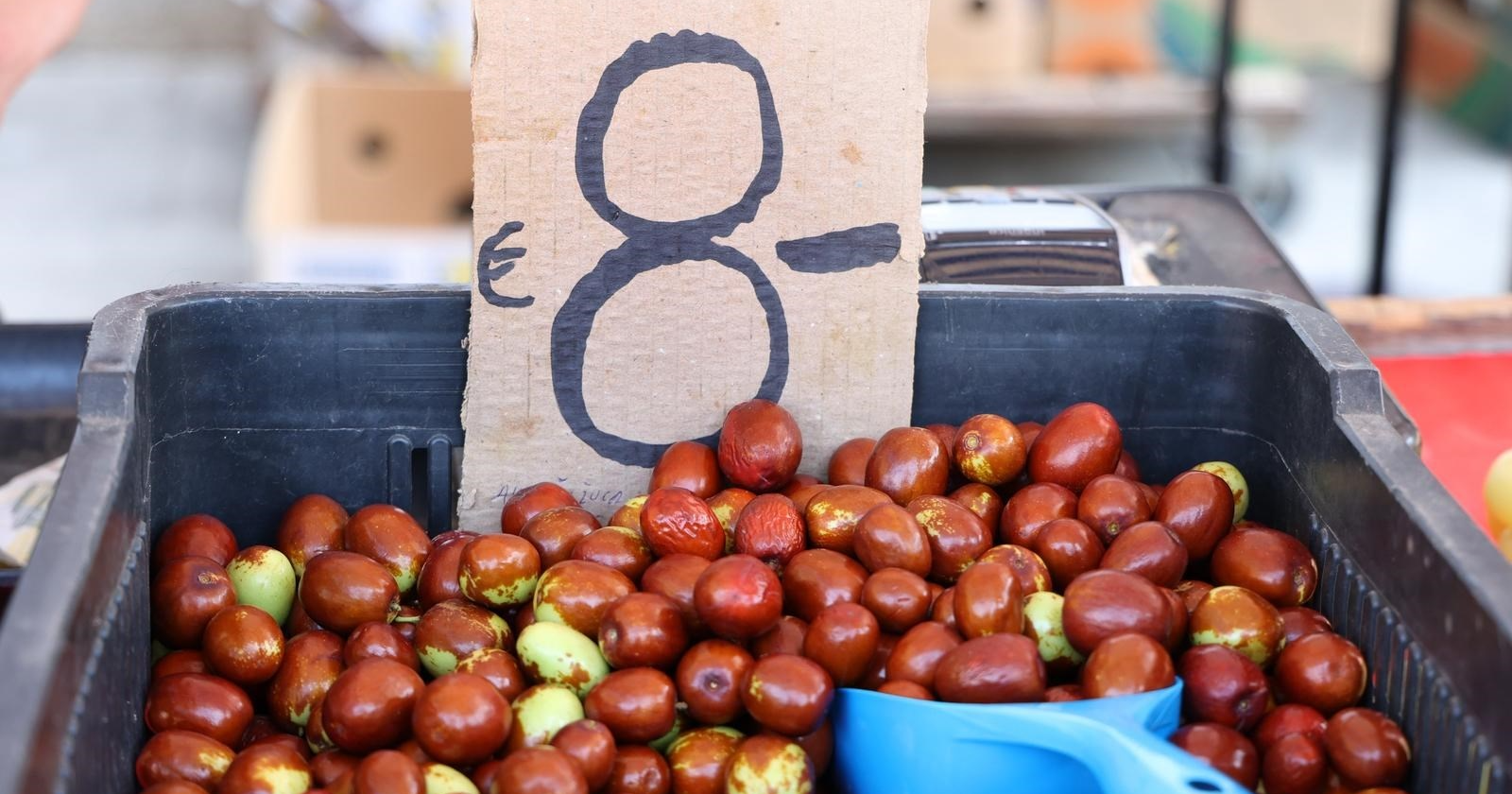 Na šibensku tržnicu stigle prve ovogodišnje žižule. Cijena je 8 eura po kilogramu