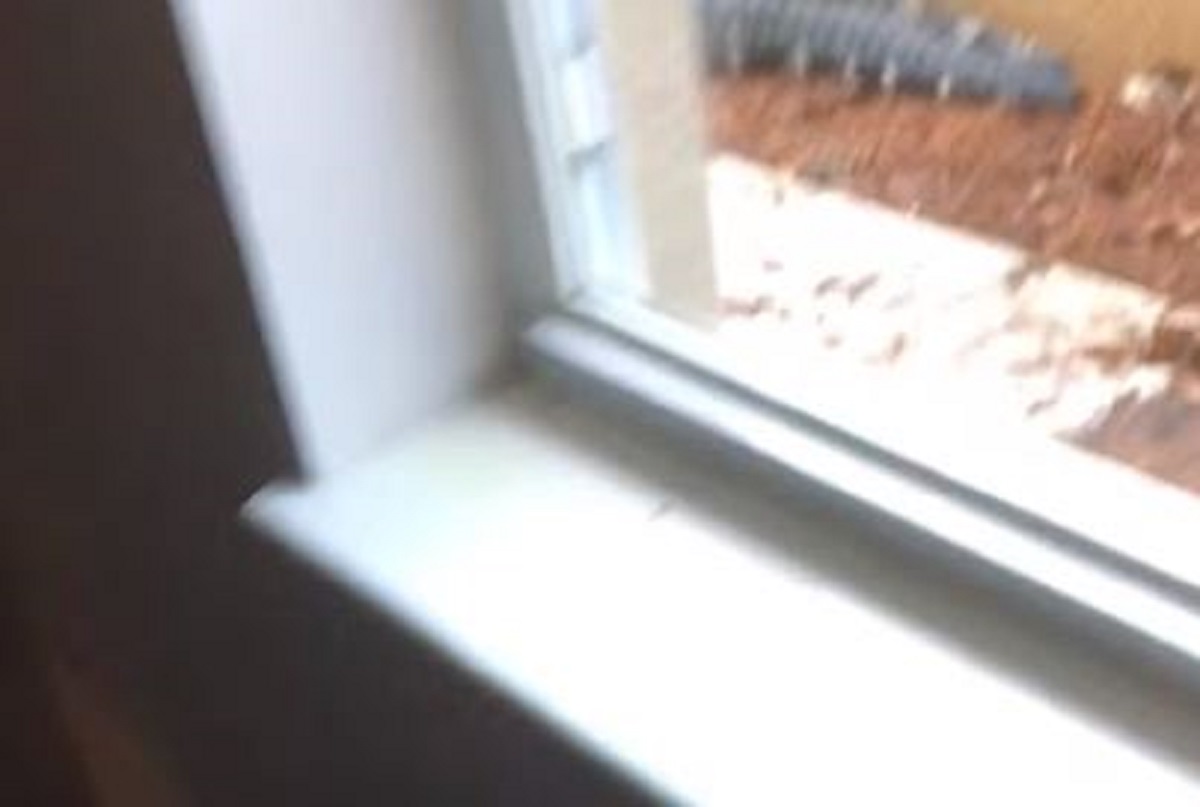 Čula lupanje ispred vrata, šokirala je scena koju je snimila