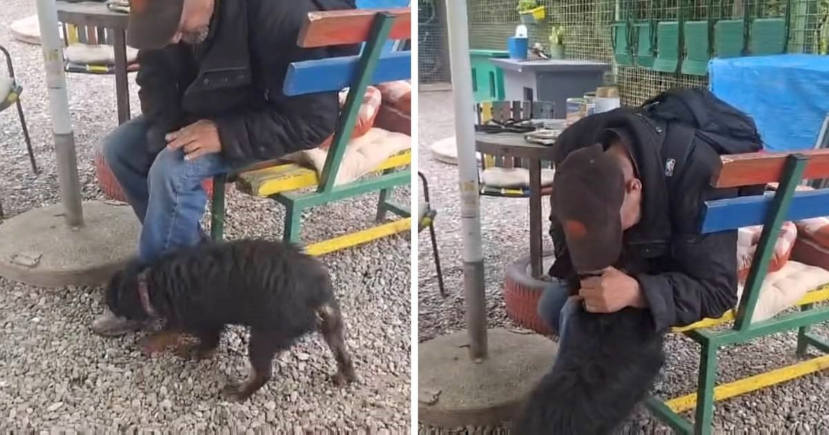 Prizor koji topi srca: Muškarac iz Osijeka i njegov pas susreli se nakon pet mjeseci