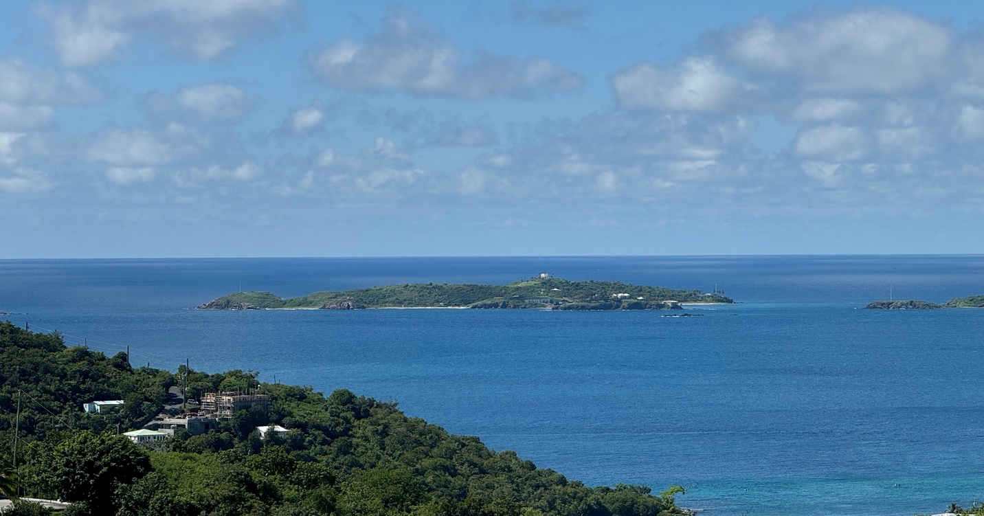 SAD je od Danske već kupio neke otoke. Jedan od njih je i Epsteinov