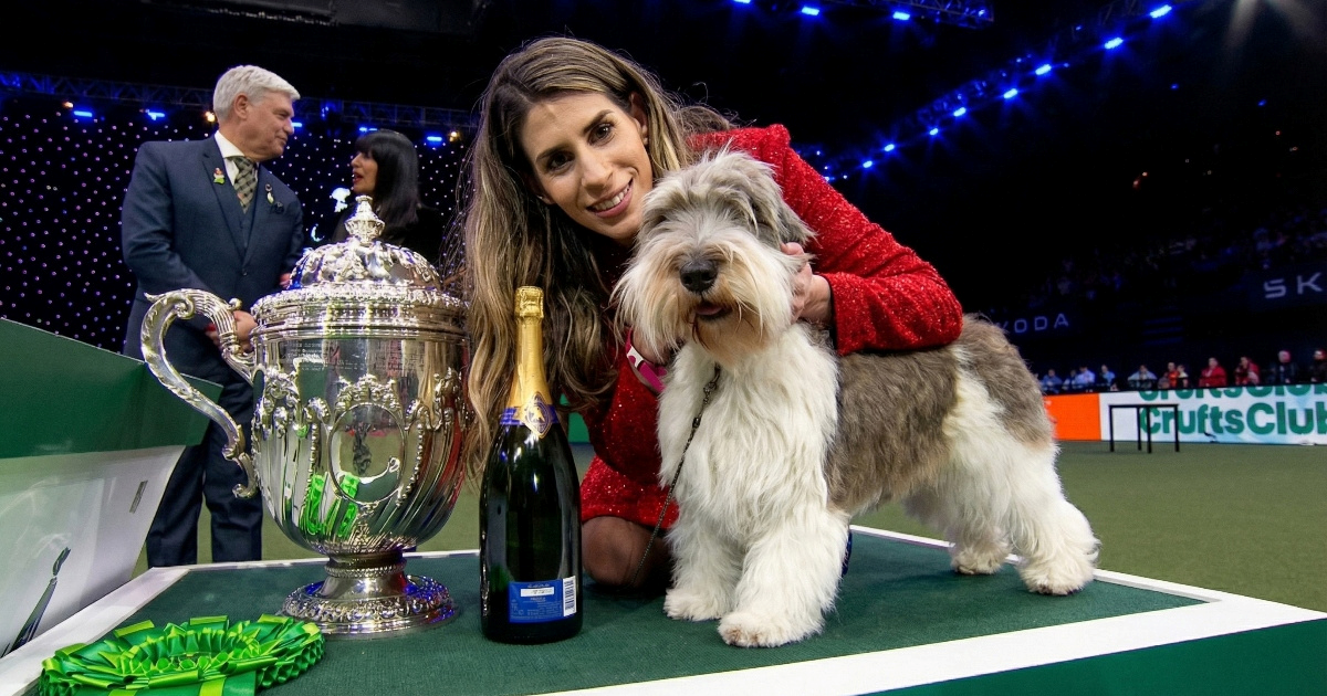 Meghan iz Hrvatske je drugi najljepši pas na svijetu