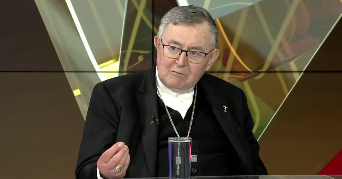 Kardinal Puljić: Obukli ste nam luđačku košulju i otišli, a mi unutra kako se snalazimo