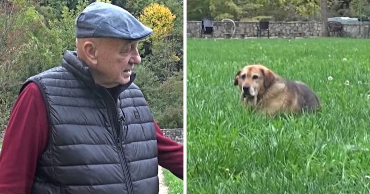 Bešlićev prijatelj i vozač: "Nakon Halidove smrti, njegov pas ne jede i ne pije"