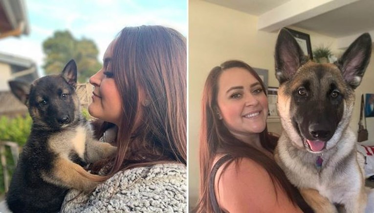 Internetom kruže fotke pasa "prije i poslije", njihova promjena je nevjerojatna