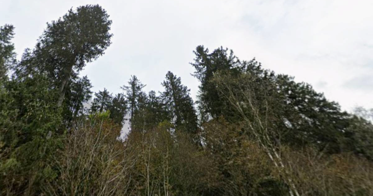 Roj neidentificiranih dronova viđen nad vojnom bazom u Belgiji