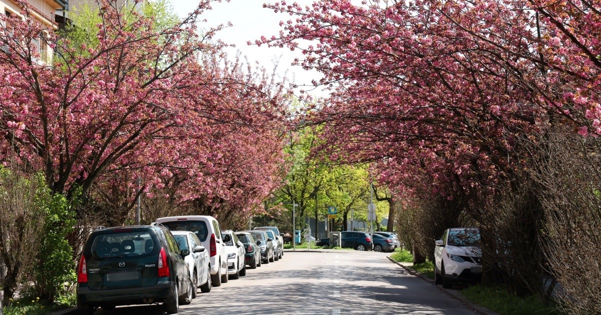 FOTO Pogledajte jednu od trenutno najljepših zagrebačkih ulica