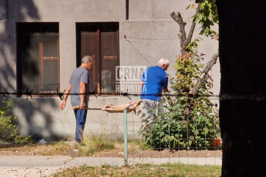 Nevjerojatan prizor u Sarajevu: Ispred muzeja okretali prase na ražnju