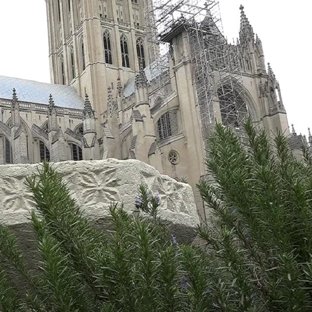 VIDEO Zvona katedrale u Washingtonu zvonila tisuću puta za milijun umrlih od covida