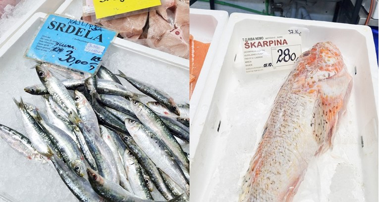 Cijene u zagrebačkoj ribarnici: Srdela najjeftinija, škarpina standardno skupa