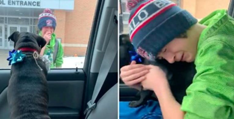 Pronašli su izgubljenog psa i iznenadili sina, on se rasplakao od sreće