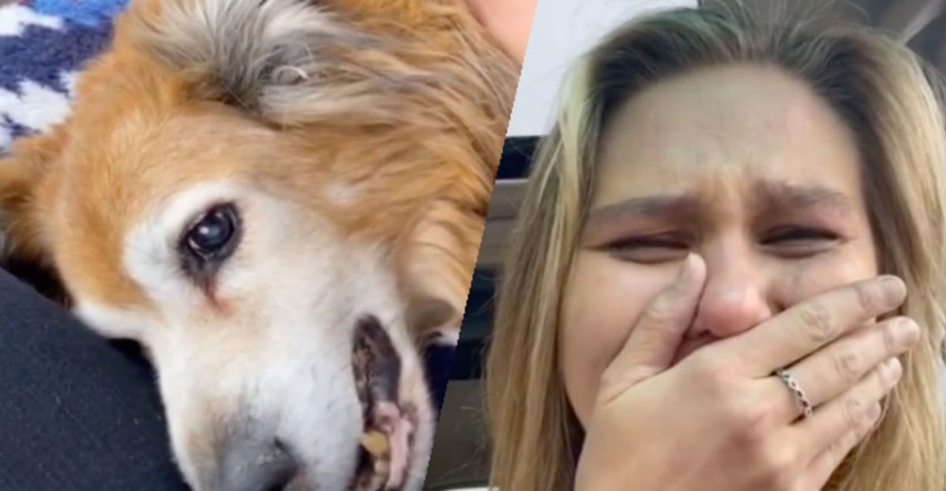 Djevojka snimila svog umirućeg psa. Video je postao viralan, ali mnogi je osuđuju