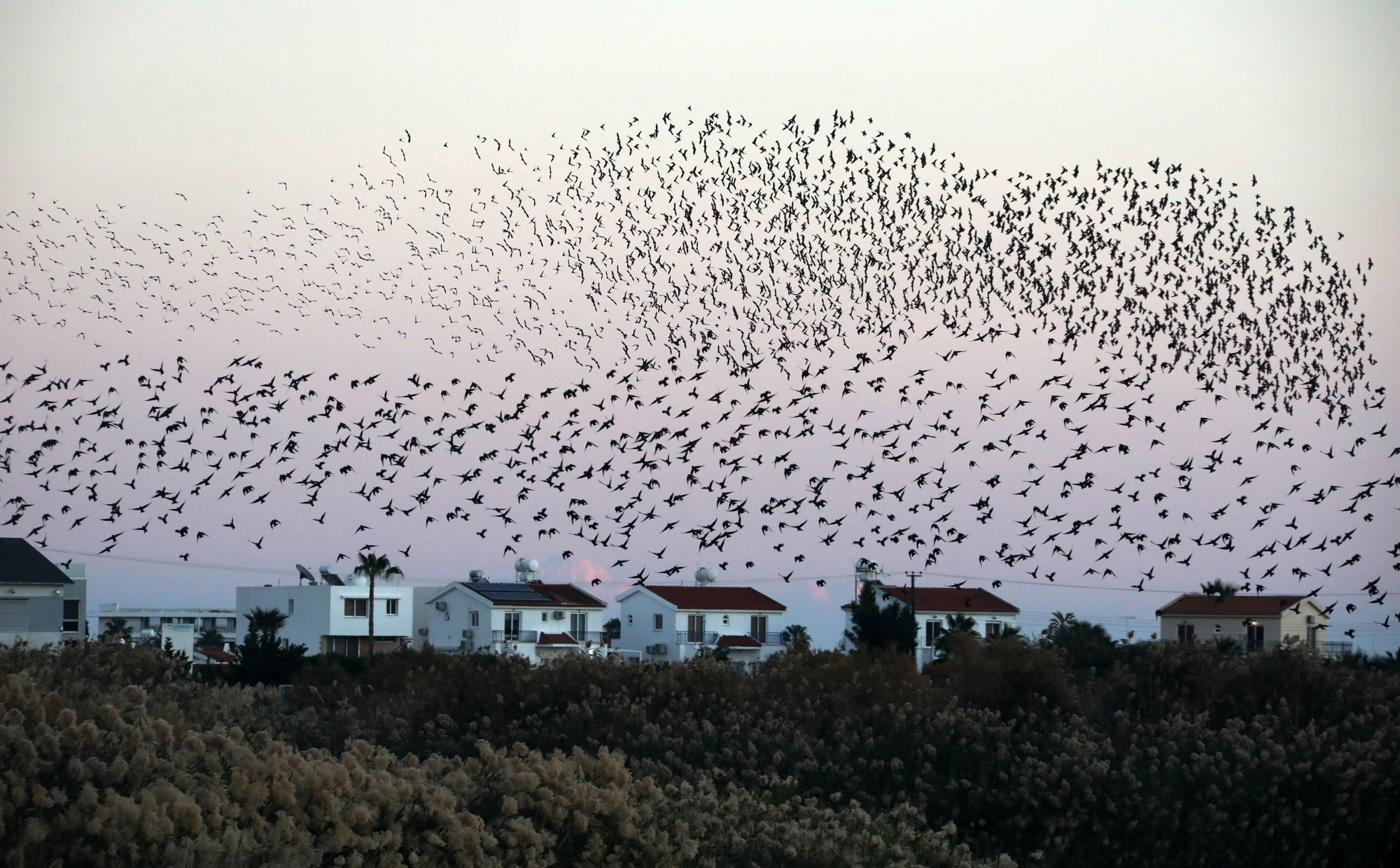 Cipar preuzeo rotirajuće predsjedništvo Vijećem EU-a