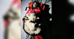 Planinar koji je stradao na Velebitu nije bio sam. Grijao ga je i čuvao njegov pas