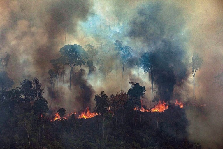 Što se događa s požarima u Amazoniji?