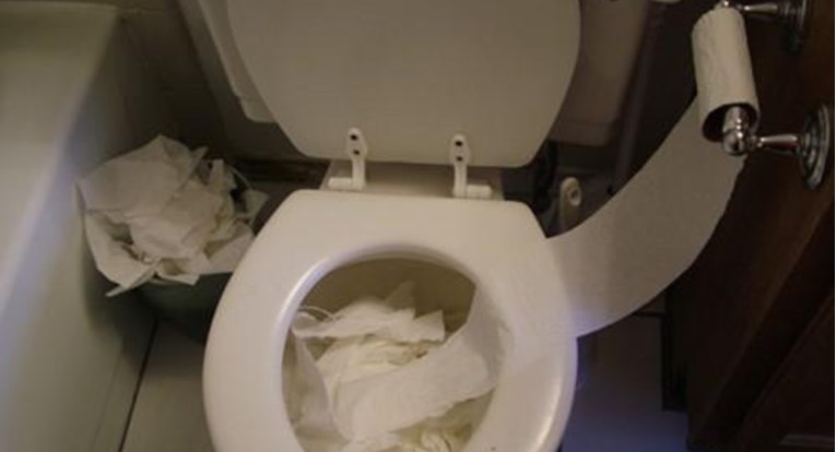 Djeca bacila posljednju rolu toaletnog papira u školjku pa izbezumila mamu