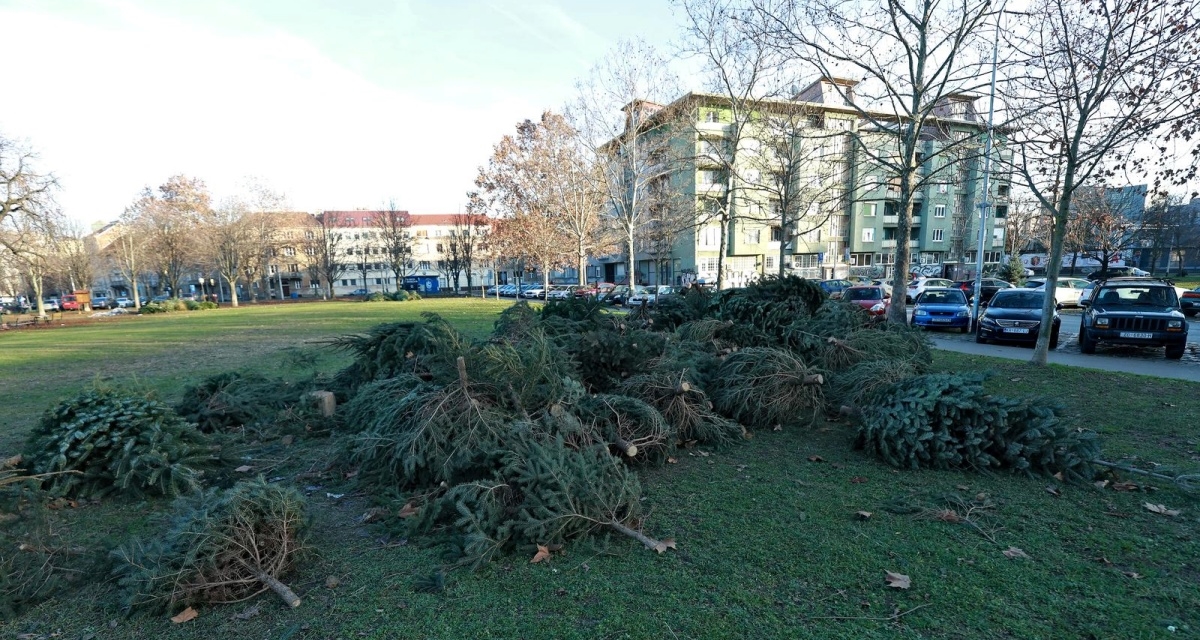 Jeste li raskitili bor? Na pravoslavni Badnjak ovako je izgledala situacija u Zagrebu