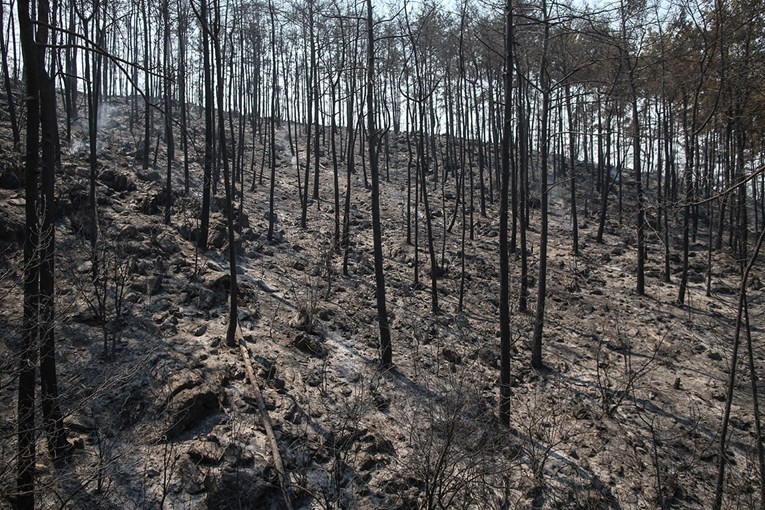 Klimatske promjene: Smrtonosni toplinski valovi, poplave i šumski požari sve češći