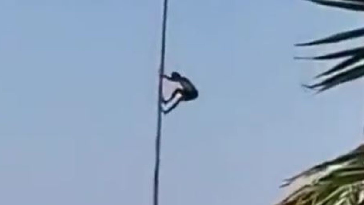 Dalmatinski Spiderman popeo se na stup pa šokirao onim što je zatim napravio