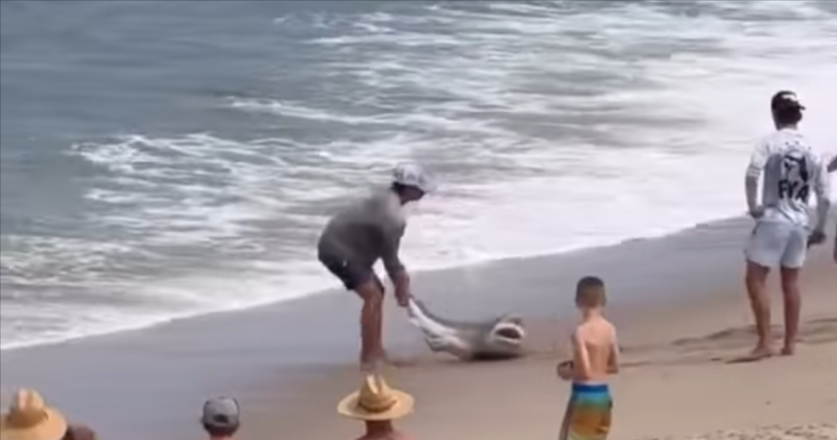 VIDEO U SAD-u ulovio morskog psa pa ga vukao po plaži u more. Morski pas ga ugrizao