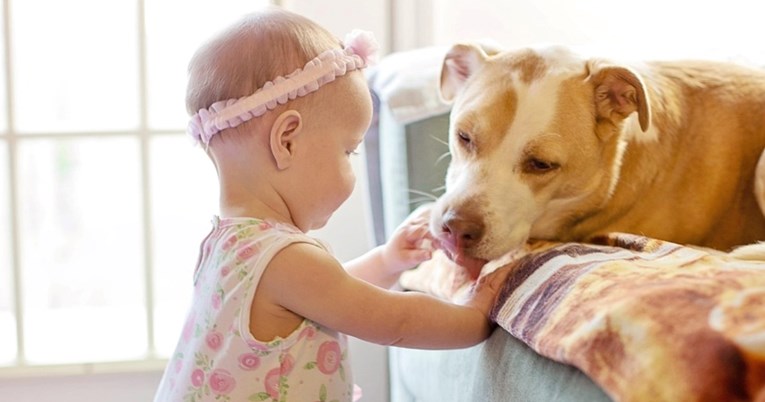 Trenerica pasa upozorava: Ovo nikada ne biste smjeli raditi psu pred djetetom