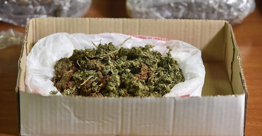 Policija u Donjem Stupniku otkrila laboratorij za marihuanu, privedene dvije osobe