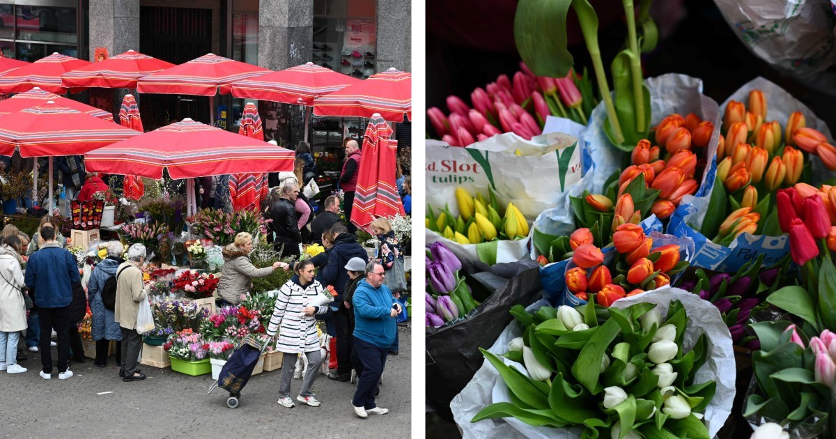 Prošetali smo Dolcem i Cvjetnim trgom. Gužva se stvorila oko cvijeća, evo koje je hit