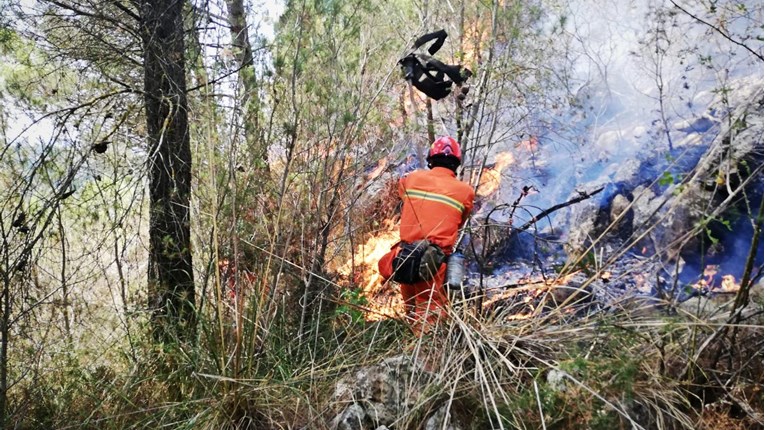 Bukte požari na jugu Italije i Siciliji, jedan zahvatio i nacionalni park