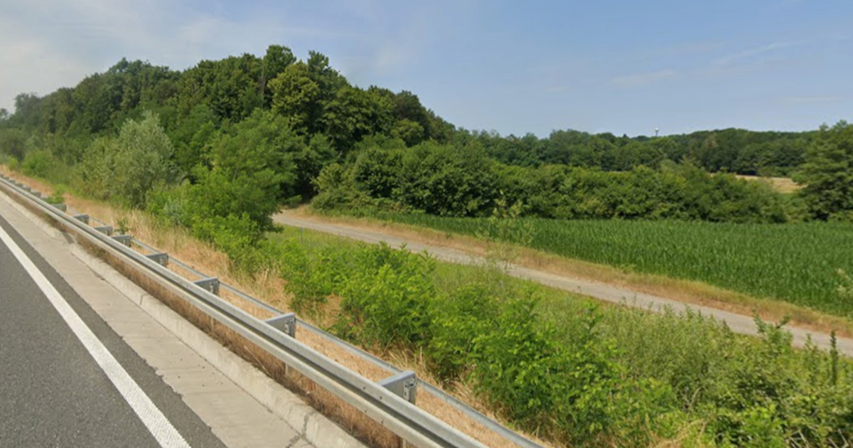 Radnik (42) poginuo u šumi kod Vrbovca