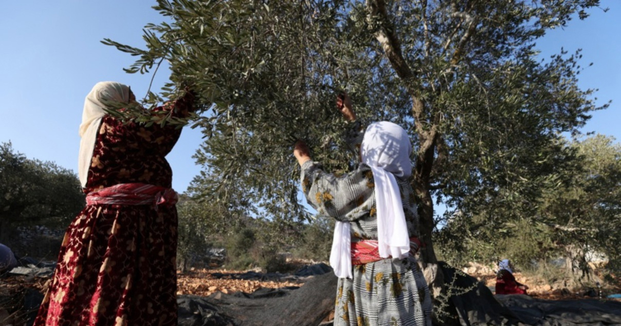 Izraelci po Europi prodaju palestinske proizvode kao svoje