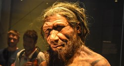 Znanstvenici: Neandertalci su lovili špiljske lavove i koristili njihovu kožu