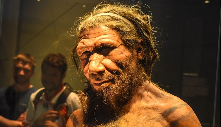 Znanstvenici: Neandertalci su lovili špiljske lavove i koristili njihovu kožu