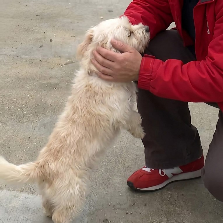 Spašen iz smeća, pronašao dom u srcu policajca koji ga je izvukao