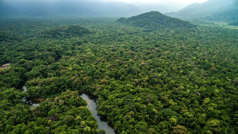 Uništenje šuma u Amazoni palo za 50 posto u 2023.