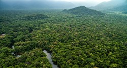 Krčenje šuma u Amazoni palo za 50 posto u 2023.