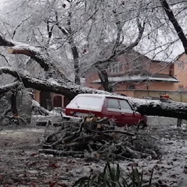 VIDEO Kaos zbog ledene kiše u Subotici. Polomljena stabla, uništeni deseci auta...