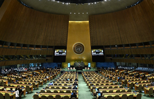 UN će uskoro glasati o mogućnosti međunarodnog priznanja Palestine