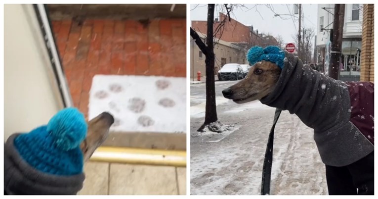 Vlasnik psa otkrio srcedrapajući razlog zašto se njegov udomljeni hrt boji snijega