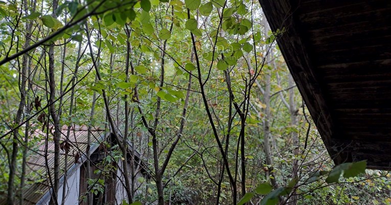 Top oglasi za nekretnine: Imanje s dvije kuće u napuštenom selu