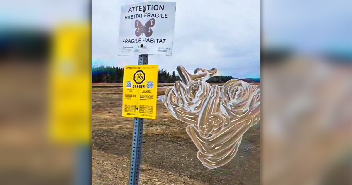 Kako izgleda svijet kroz oči shizofreničara? Jezivi TikTok video daje odgovor