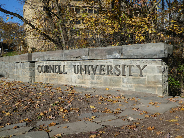 Tvrdi da ju je silovalo sedmero studenata u SAD-u: "Cornell ih kaznio pisanjem eseja"
