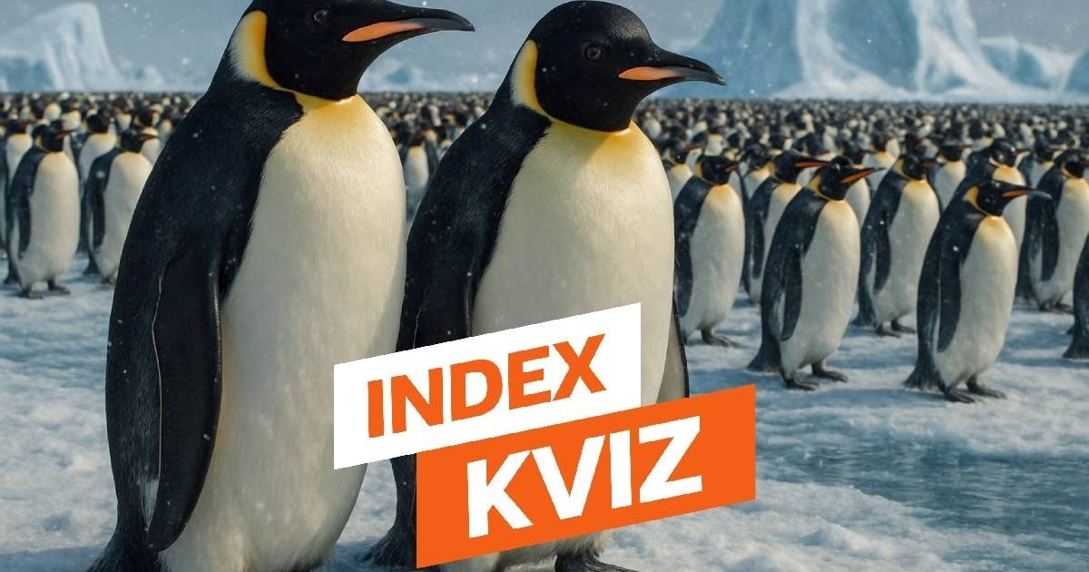 INDEX KVIZ Možete li odgovoriti točno na svih 15 pitanja?