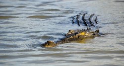 Čovjek u Australiji bježao od policije, skočio u rijeku punu krokodila. Sad ga traže