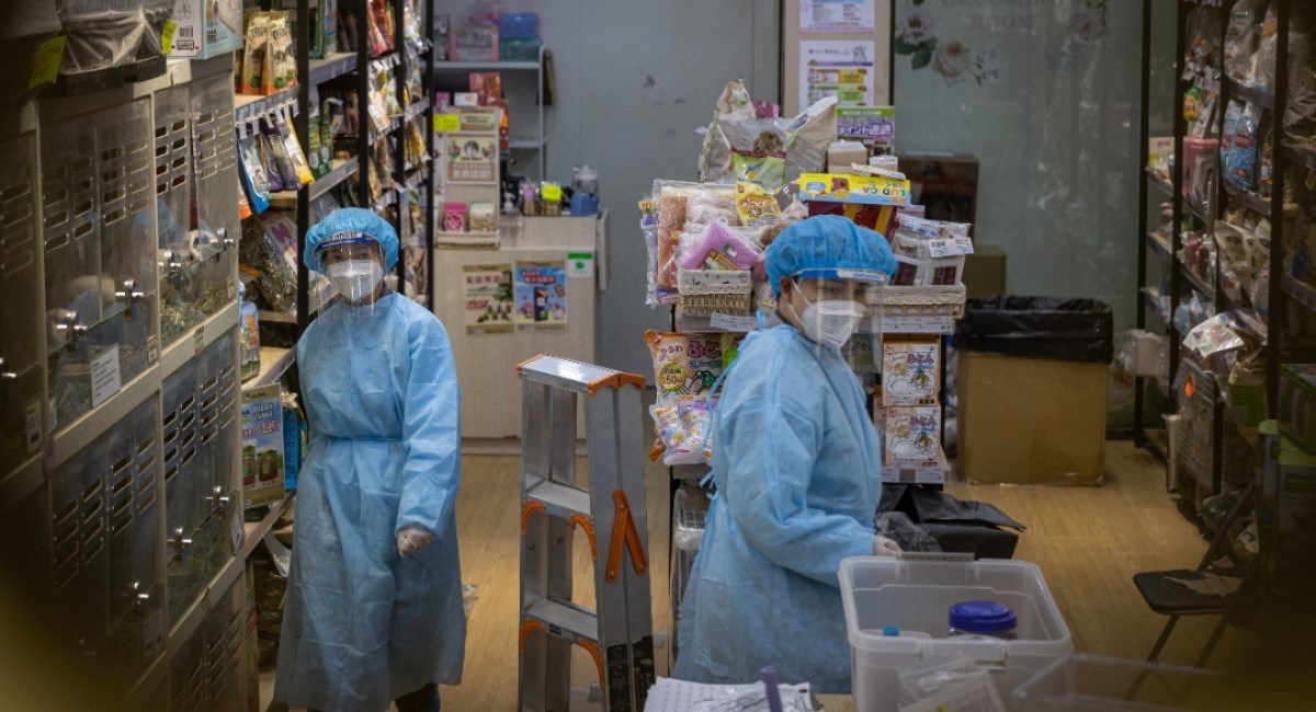 U Hong Kongu će zbog korone ubiti stotine hrčaka