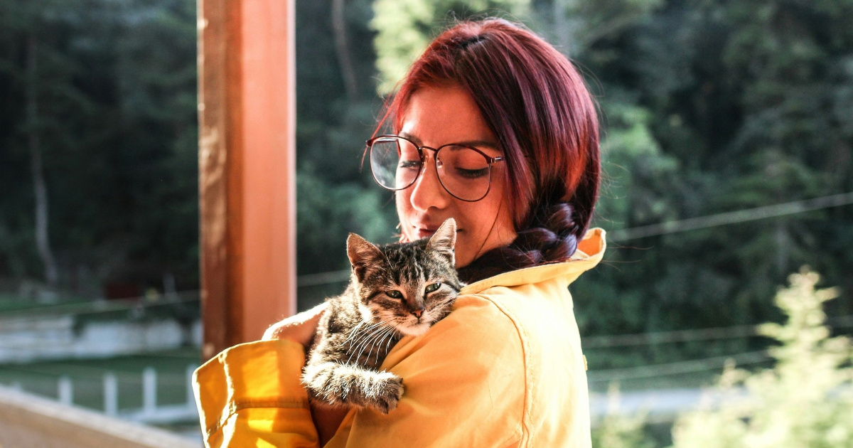 Pet najčešćih pogrešaka novih vlasnika mačaka