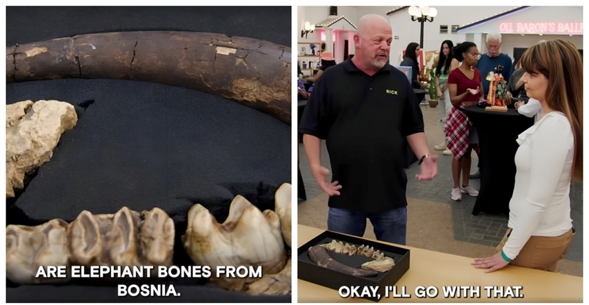 VIDEO Žena pokušala prodati kosti slona u showu Zalagaonica. Tvrdi da su iz BiH