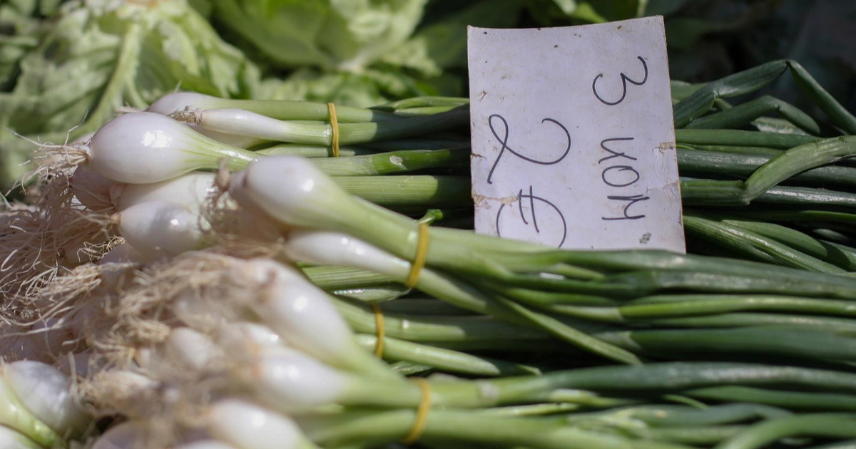 Jedan detalj na mladom luku otkriva je li tretiran kemikalijama