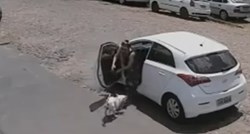 Okrutna žena izbacila invalidnog psa iz auta na ulicu i otišla